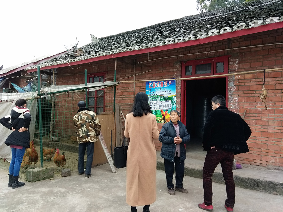 QQ图片20170108102445.jpg