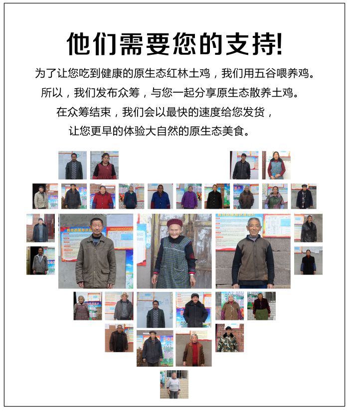 红林土鸡6.jpg