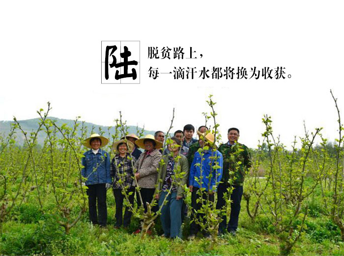 罗甫洞-上传_07.jpg