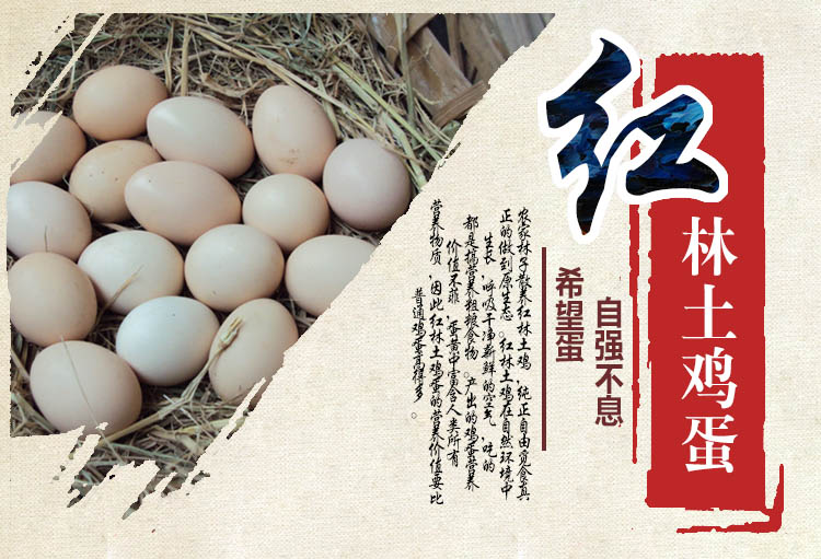 红林土鸡蛋.jpg