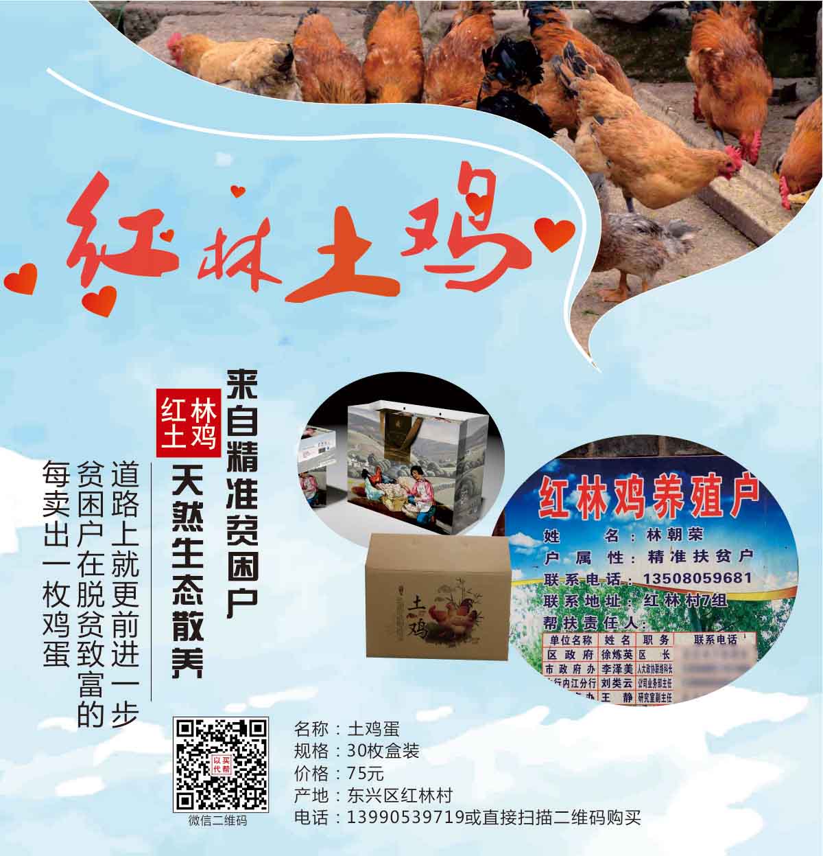 处理-红林鸡蛋.jpg