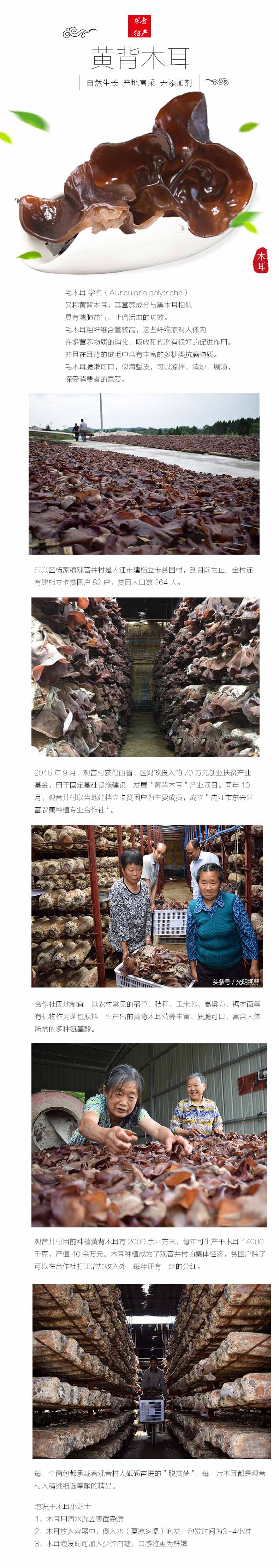 黄背木耳.jpg